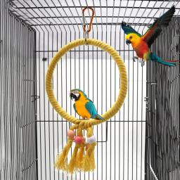 Balanço para pássaro, brinquedo útil, gaiola de balanço, requintado, de corda, para papagaio de estimação - Image 1
