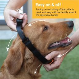 Coleira de dente para cachorro, eficaz para treinamento sem puxar, fivela de liberação rápida, coleira de pitada ajustável, coleira de treinamento para cães grandes - Image 5