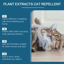 Cat repelente spray, evitar morder, coçar parar, sofá, mastigar, roer, móveis proteger, Pet Training líquido - Image 3