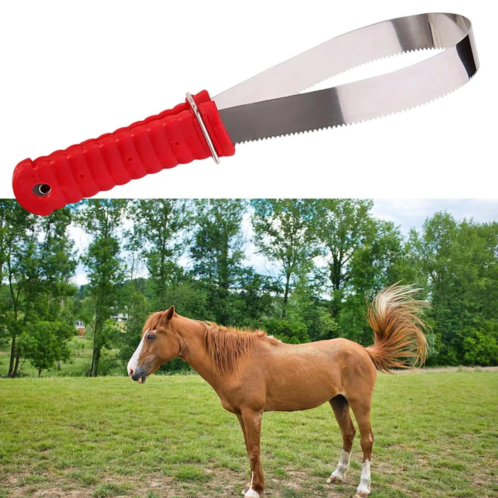 Ferramenta de Derramamento de Cavalo Aço Inoxidável 30cm