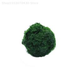 Bolas de musgo Marimo para aquário vivo, algas vegetais, peixe e camarão, ornamento de aquário, planta artificial verde, 3-4cm - Image 3