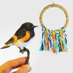 Pet Bird Poleiro Papagaio Anel, Sisal Peck Toy, Casa Pendurado Ornamento, Pingente De Jardim Ao Ar Livre, Corda De Algodão, Swing Acessórios De Decoração - Image 5
