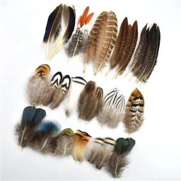 Pavão de frango natural e feisão penas pequenas para artesanato, bordado, acessórios de artesanato, decoração de jóias DIY, atacado - Image 2
