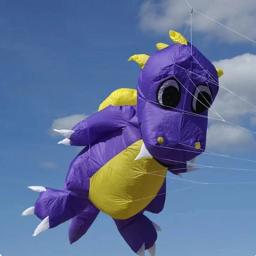 Flying Dragon Kite para crianças, Professional Wind Kite, Steigen Kite para adultos, Automatic Kite Machine, Frete Grátis, 5m - Image 3