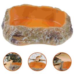 Prato De Vidro Terrário, Alimentação De Água, Alimentos, Pet Terrário, Tartaruga De Lagartixa, Anfíbios Rocha, Mealworm, Tartaruga, Répteis - Image 6