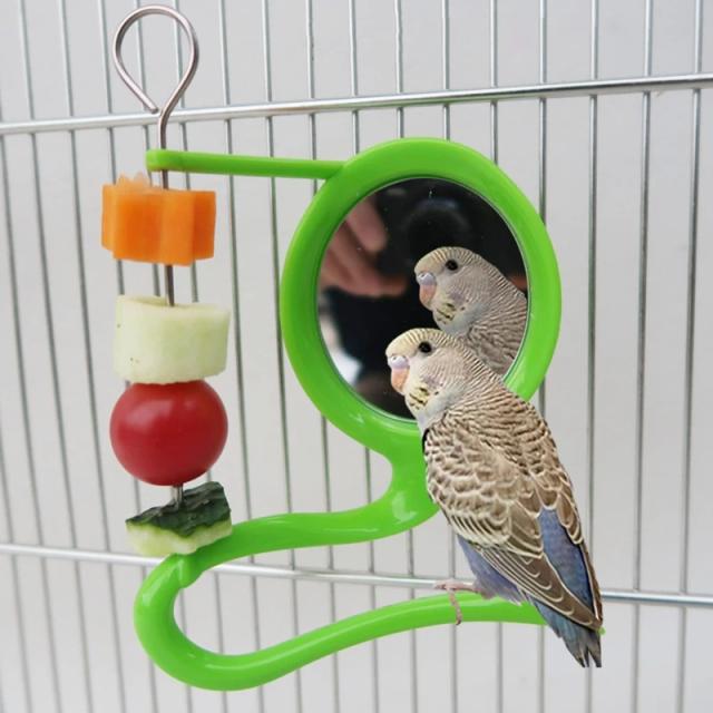 Brinquedo Espelho para Pássaros com Suporte de Plástico e Metal - Alimentador de Frutas e Vegetais para Papagaios, Lovebirds e Canários