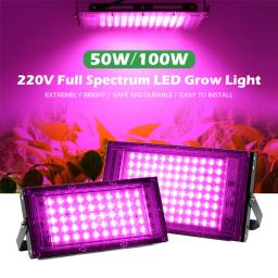 Full Spectrum LED Grow Light, Phyto Lâmpada para Planta, Lâmpada hidropônica, Sementes de flor de estufa crescem iluminação, 220V, 100W, 200W, 300W - Image 4