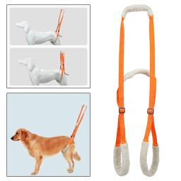 Cão levantamento arnês animais de estimação ajustável útil voltar quadril apoio mobilidade pernas fracas deficientes articulação cães mais velhos elevador animais de estimação hind - Image 4