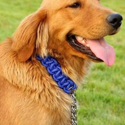 Gargantilha de corda trançada ajustável para animais de estimação, coleira, coleiras para cães pequenos, cachorro, cães médios, casa - Image 2