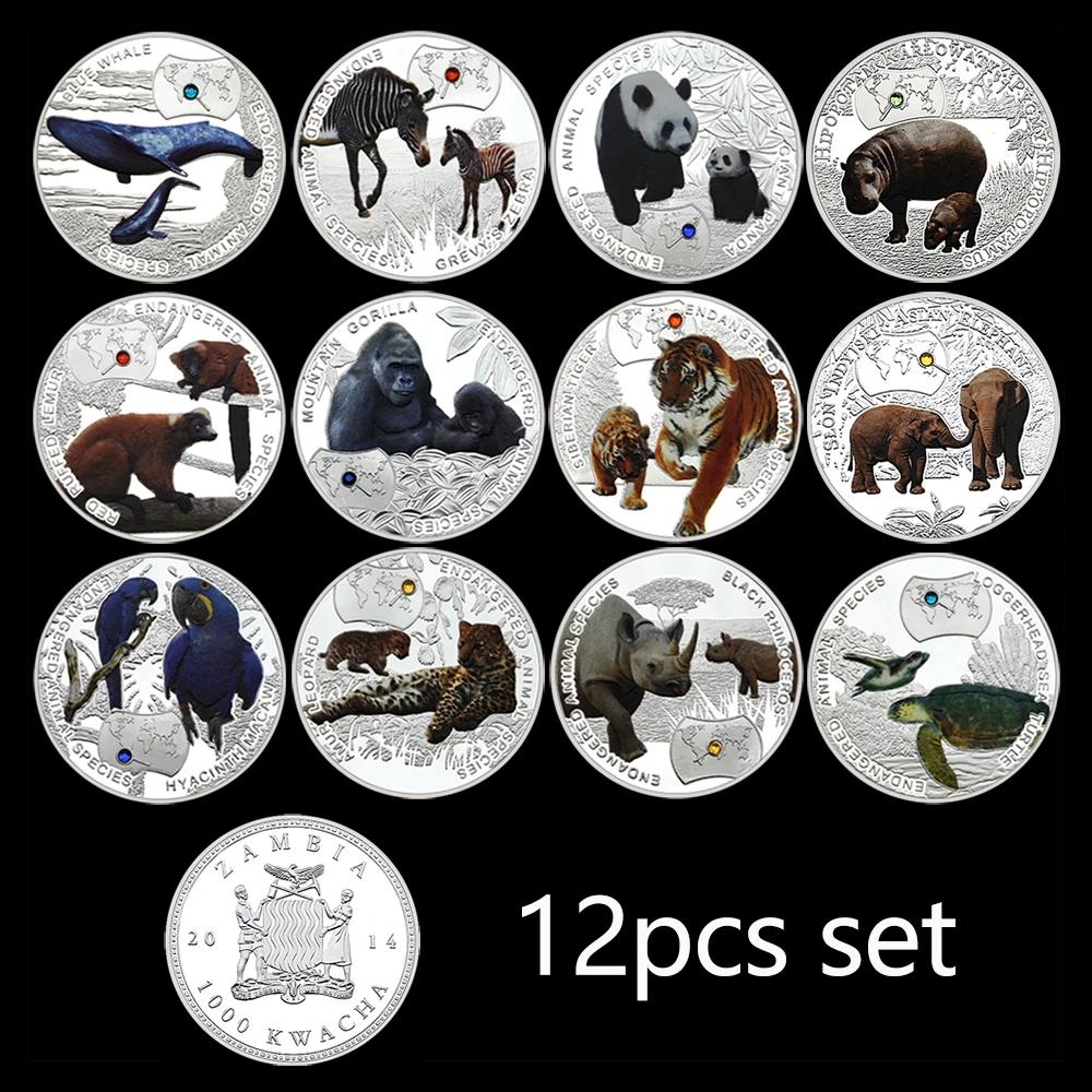 Conjunto de moedas de prata para amantes de animais raros, Medalha Comemorativa em Cápsula, Presente para amantes de animais, África 1000 kWa, 12pcs - Image 1