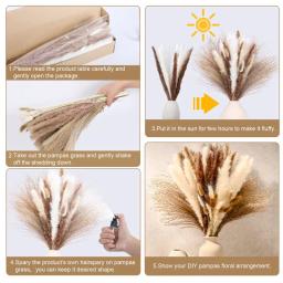 30 pçs flores secas natureza fofo pampas grama para festa de casamento decoração coelho cauda de coelho canas flores artificiais decoração de casa - Image 6