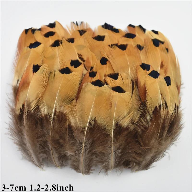 Pena De Pavão Natural Para Artesanato, Penas De Avestruz, Penas De Faisão Para Fazer Jóias, Ornamentos De Carnaval, Decoração Plumas - Image 1