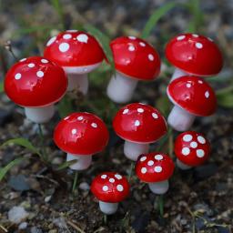 Miniaturas de Cogumelo Artificial Mini Resina, Paisagem Do Jardim De Fadas, Artesanato De Terrário De Musgo, Micro Decoração De Paisagem Em Vaso, 20Pcs - Image 1