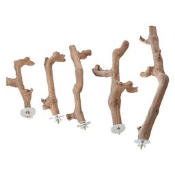 Ventosa de madeira poleiro brinquedo parede viagem gaiola vara escalada papagaio poleiro suporte para beija-flor lovebird papagaio pequenos pássaros médios - Image 2