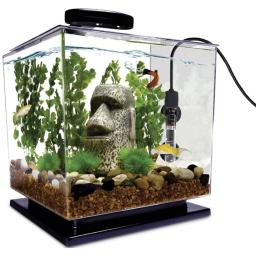 Aquecedor submersível do aquário para o aquário, termostato automático, temperatura inteligente, constante, 25W - Image 6