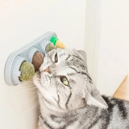 Natural gato gato parede vara-no brinquedo bola doces lambendo trata saudável remove bolas de cabelo para promover digestão gato grama lanche - Image 3