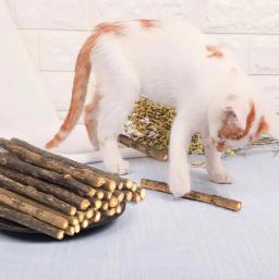 Dentes naturais Pet Moagem Creme Dental Stick, Kiwi Fruit Silver Vine, Cat Safe Stick, suprimentos de limpeza - Image 6