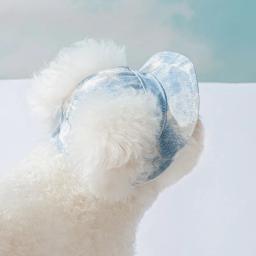 Boné com protetor solar com orifícios para orelhas, chapéu de sol para cães pequenos e médios, caminhada ao ar livre, verão - Image 3