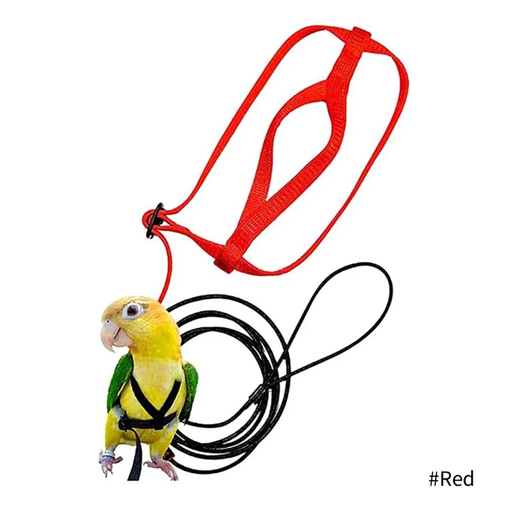 Trela ajustável para animais de estimação, pássaro, papagaio, tiras de tração voadora ao ar livre, corda de treinamento anti-mordida, acessórios para pombos - Image 1