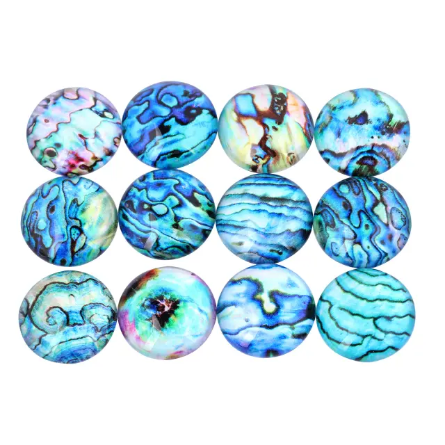 Cabochão de Vidro com Concha Abalone para DIY: Acessórios Redondos de 10mm a 20mm