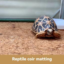 Shougong Coco Mat para répteis e reprodução de tartarugas, Material Silk Pet Live Aquascape, Pet Shop - Image 4