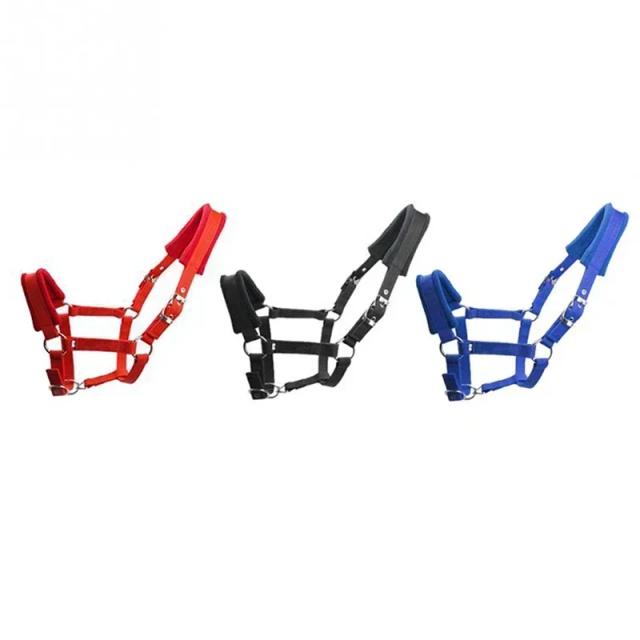 Cavalo Halter Acolchoado Conforto Ajustável PP Webbing