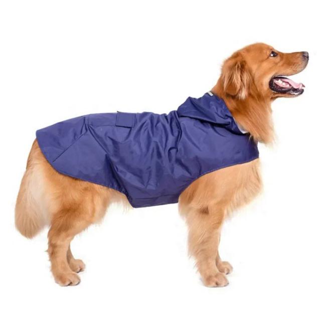Golden Fur Raincoat: Proteção Estilosa Contra Vento e Chuva para Cães de Todos os Tamanhos