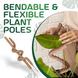 Conjunto de pólos de musgo altos com cordas de juta naturais, suportes de plantas duráveis para Monstera, Sphagnum e Pothos, Pack 2 - Image 6