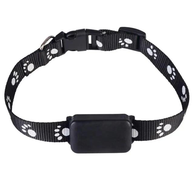 Rastreador GPS Portátil e Recarregável para Animais de Estimação: Antiperda e Ideal para Crianças