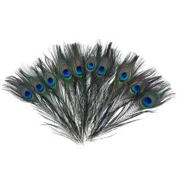 Natural Longo Penas do Olho do Pavão Grande, DIY Craft Ornament, Art Decoração, Natural Hat Hair, 15Pcs - Image 1