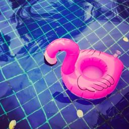 PVC Inflável Tropical Flamingo Decoração Do Partido, Flutuador De Água, Titular De Copo De Bebida, Brinquedo Havaiano, Suprimentos De Evento, 1 Pc, 2Pcs - Image 5