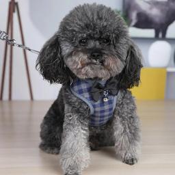 Arnês De Animais De Estimação Bonito Fivela de Liberação Rápida Pet Colete Arnês Pequeno Cão Malha Xadrez Vestido de Noite Colete Arnês Pet Supplies - Image 3