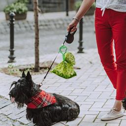 Cão Poop Bag Titular, Pet Waste Carrier Clip, Dispensador Mãos-Livres Dog Leash, Caminhada ao ar livre, Puppy Bags Clip, fácil de transportar - Image 3