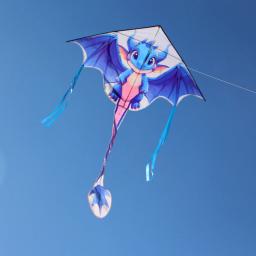 Dragon Kites Flying Toys para Crianças, Professional Wind Kite, Jogos ao ar livre, Brinquedos Esportivos, Flying Bird Koi, Frete Grátis - Image 4