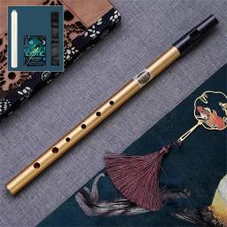 Nova marca de alta qualidade instrumentos musicais apito irlandês 6 buracos c/d chave instrumento flauta para iniciantes alta baixa notas - Image 3