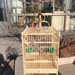 Gaiola de bambu para casa, Gaiola, Transportadora de viagens, Boutique Birdcage - Image 3