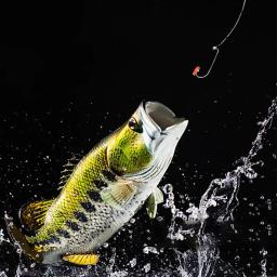 Alimentos Grass Carp Bait Lure, Fórmula partícula de inseto, Proteína granular, Isca de pesca, Carpa Crucian, Peixe - Image 3