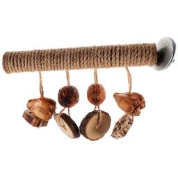 Madeira Stand poleiro brinquedo para papagaio, Bird Cage poleiro, Paw Grinding Stick - Image 3