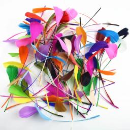 20 pçs/lote colorido ganso pena decoração preto gansos penas de ganso diy jóias festa artesanato acessórios decoração para roupas - Image 2