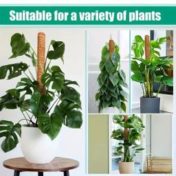 Conjunto de pólos de musgo altos com cordas de juta naturais, suportes de plantas duráveis para Monstera, Sphagnum e Pothos, Pack 2 - Image 3