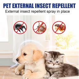 Spray anti-pulgas para gatos e cães, planta natural, fórmula de óleo essencial, mata, carrapatos, piolhos, uso seguro, interno e externo - Image 5