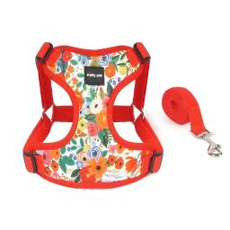 Respirável malha colete estilo cão arnês conjunto, confortável e não-retrátil animal de estimação tração, pequeno, conjunto de duas peças - Image 6