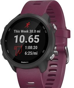 Garmin-Relógio GPS Forerunner 245 Series, Plano de Treinamento, Funções Especiais e Análise Detalhada do Treinamento - Image 5