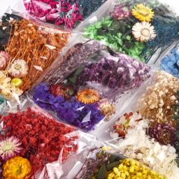 Aromaterapia Vela Moldes para DIY, Flores Secas, Plantas Secas, Molde De Fundição De Resina Epóxi, Ferramentas De Artesanato, Jóias Fazendo Acessórios, 1 Caixa - Image 4