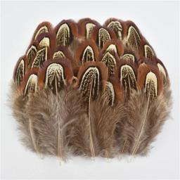 Pena de faisão de pavão natural pequena ganso frango penas plumas diy artesanato festa acessórios de casamento jóias decorativas - Image 3