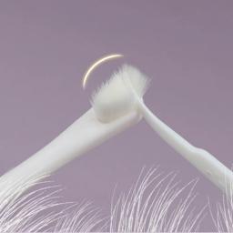 Escova de dentes macia para cães, Escova de limpeza dos dentes do cão, Limpeza oral, Punho confortável - Image 5