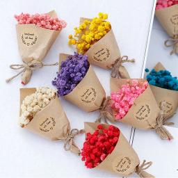 Mini Caixa De Presente De Flores Secas Naturais, Flores Estreladas, Buquê, Decoração De Casa Presente, Festa De Casamento, Aniversário - Image 3