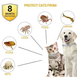 Ajustável Pet Anti-Flea e Tick Collar, repelente de estimação destacável, anti-parasita, 8 meses de proteção, acessórios para cão e gato - Image 2