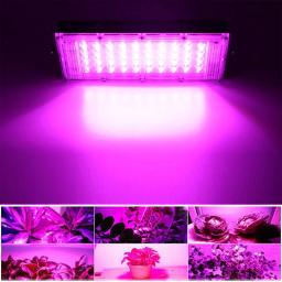 Full Spectrum LED Grow Light, Phyto Lâmpada para Planta, Lâmpada hidropônica, Sementes de flor de estufa crescem iluminação, 220V, 100W, 200W, 300W - Image 5