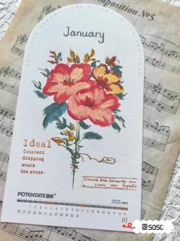 POTEBTATE-Papel Cor Água, Calendário, 100% Algodão, Fino, Médio, Pintura DIY, Fontes de Arte, Bonito, 12 Pcs/Lot, 300g, 2025 - Image 6